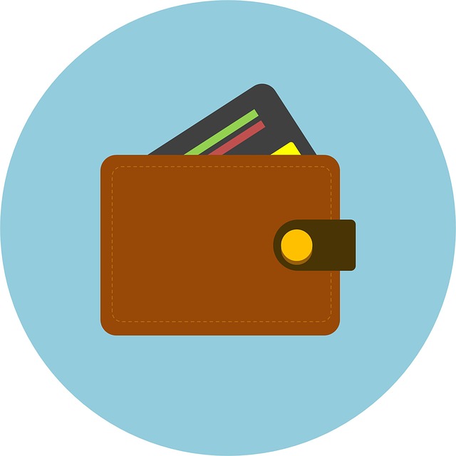 peněženka s kreditkou – ilustrace.jpg